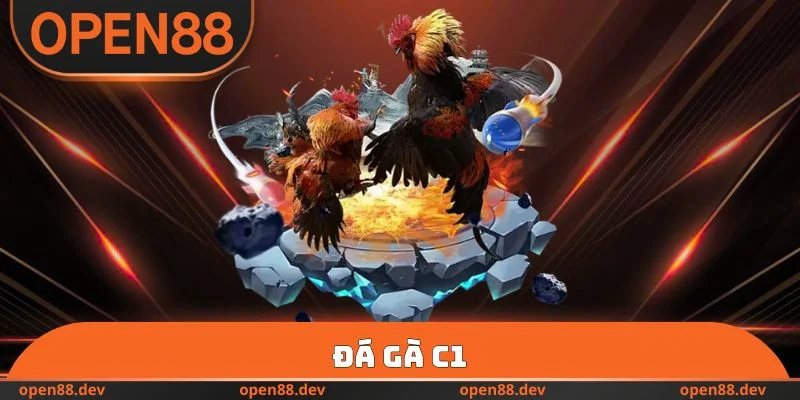 Đá Gà C1 OPEN88 - Quy Trình Tổ Chức Trận Đấu Công Bằng