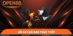 Đá Gà Cựa Dao Trực Tiếp OPEN88 Với Hơn 100 Trận Đấu Mãn Nhãn