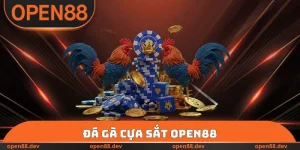 Đá Gà Cựa Sắt OPEN88 - Thông Tin Sân Chơi Đấu Chọi Nổi Tiếng