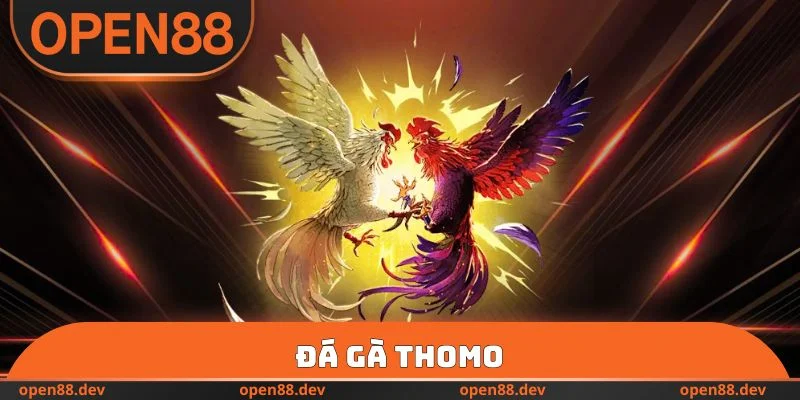 Đá Gà Thomo - Bí Quyết Chơi Chọi Kê OPEN88 Ăn Tiền 2026