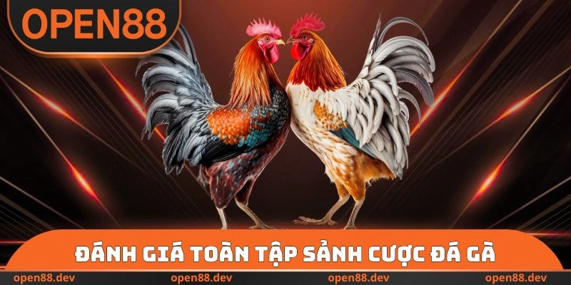 Đánh giá toàn tập sảnh cược đá gà