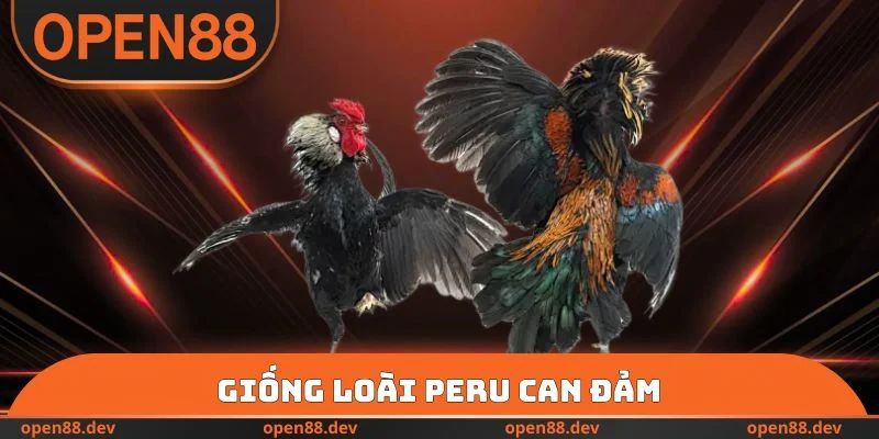 Giống loài Peru can đảm