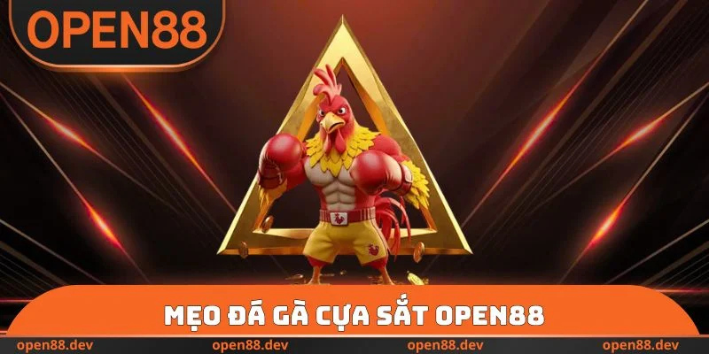 Mẹo đá gà cựa sắt OPEN88
