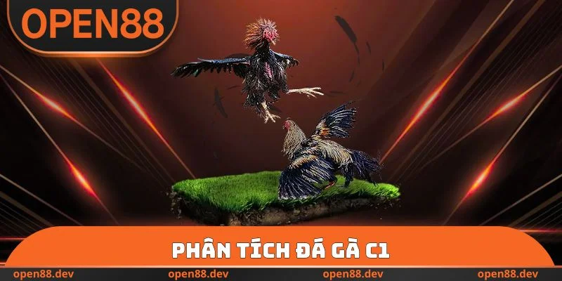Phân tích đá gà C1