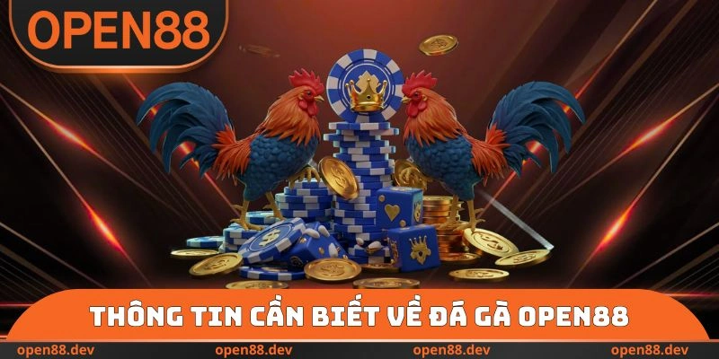 Thông tin người mới cần biết về đá gà OPEN88