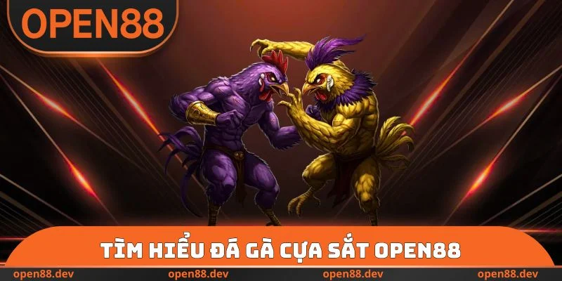 Tìm hiểu đá gà cựa sắt OPEN88