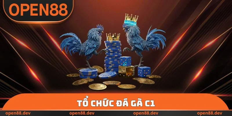 Tổ chức đá gà C1