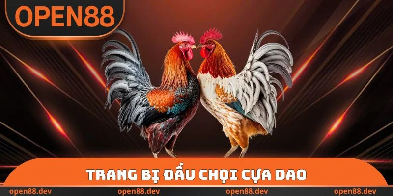 Trang bị đấu chọi cựa dao